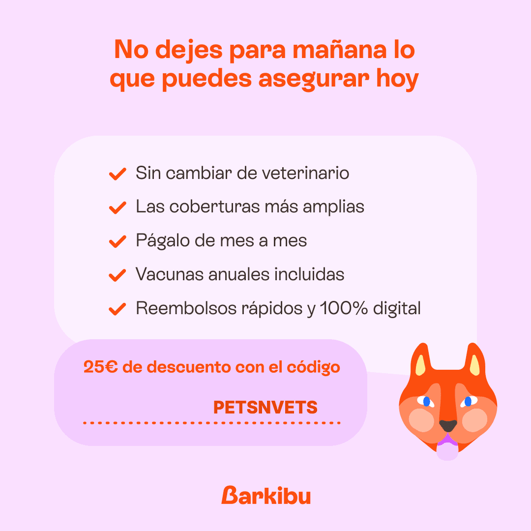 Barkibu: Seguro veterinario. Quiere a tu mascota, quiérela bien