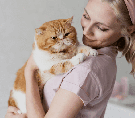 Curso de Catsitter Profesional