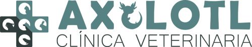 Clínica Veterinaria Axolotl