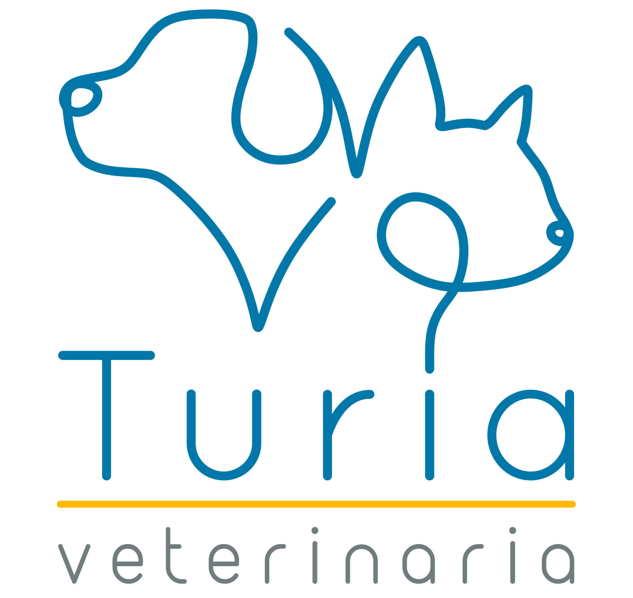 Turia Veterinaria