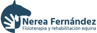 Nerea Fernández - Fisioterapia Equina