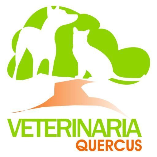 Clínica Veterinaria Quercus