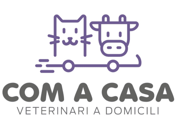 Com a Casa Vet