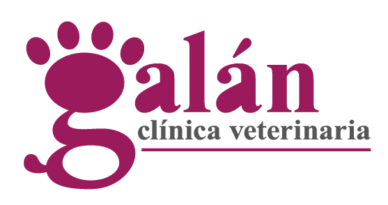 Clínica Veterinaria Galán