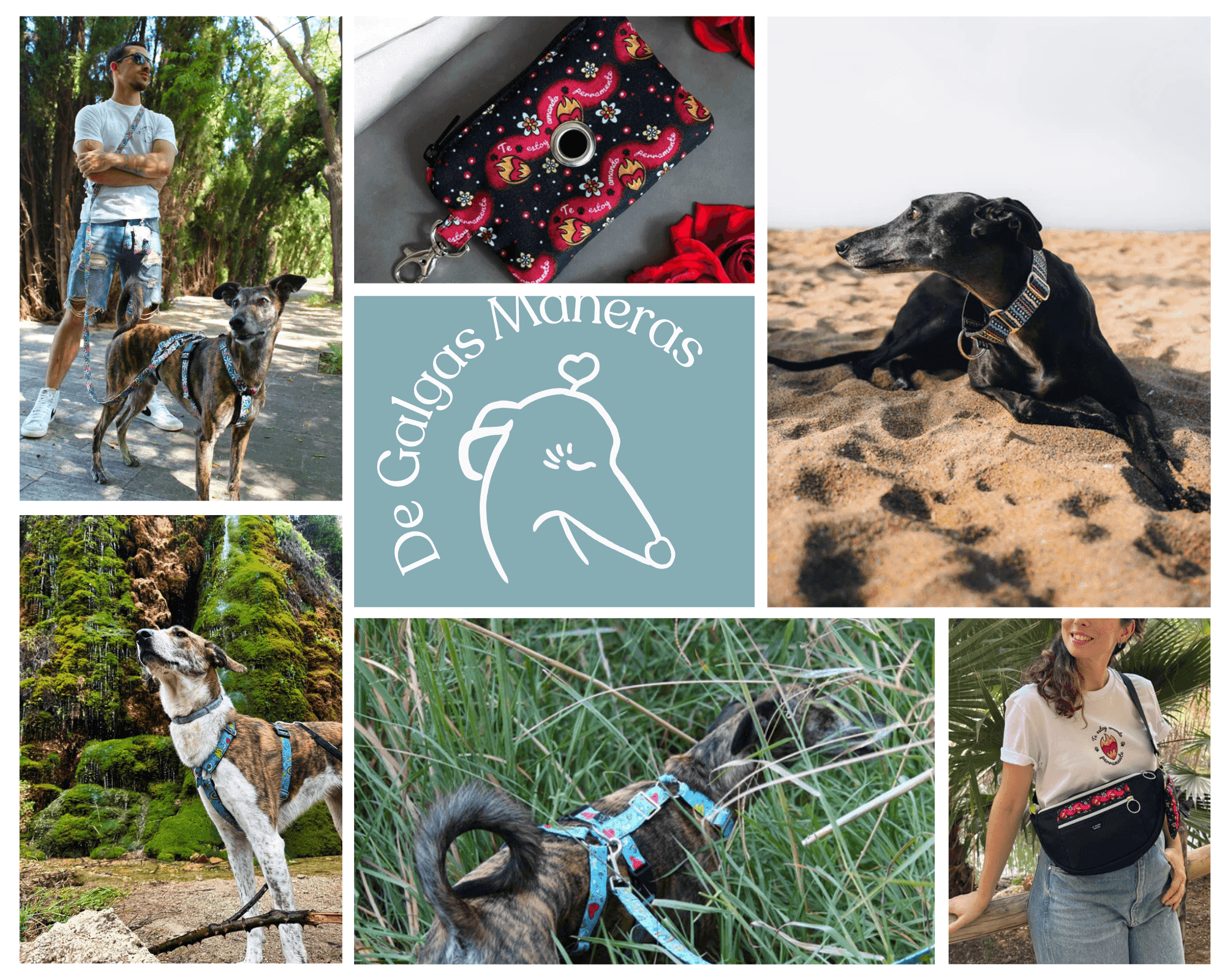 De Galgas Maneras: Especialistas en arnés antiescape para galgos