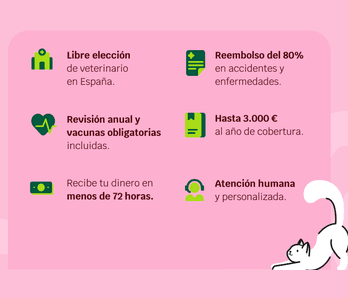 Musky: más que un seguro veterinario para mascotas