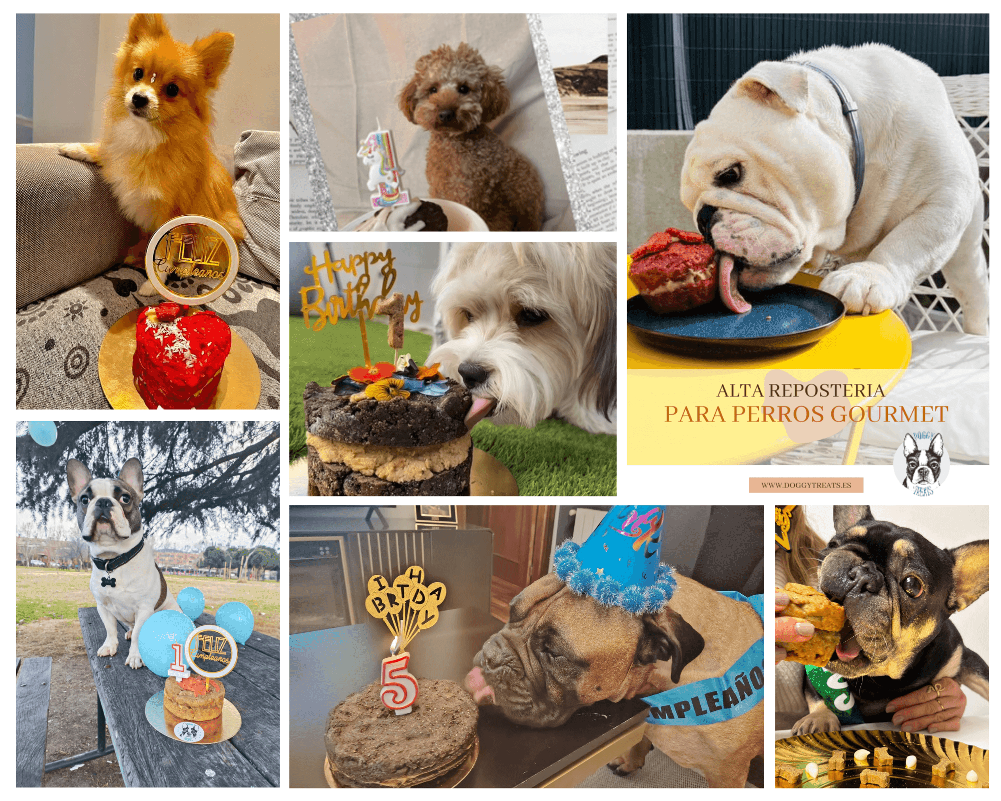 Doggy Treats: Alta repostería para perros gourmet