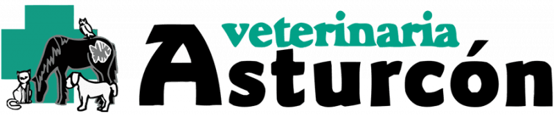 Clínica Veterinaria Asturcón