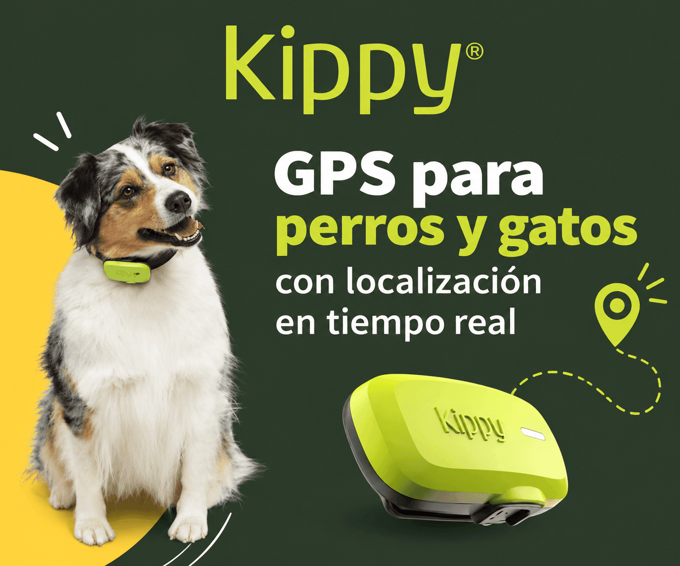 Kippy: GPS y bienestar para perros y gatos
