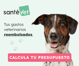 Santévet