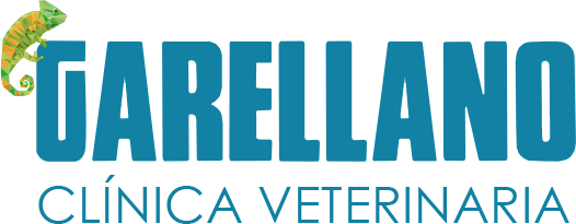 Clínica veterinaria Garellano