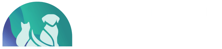 Veterinaria Boreal