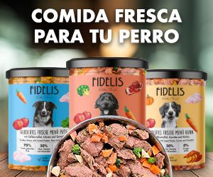FIDELIS