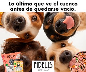 FIDELIS