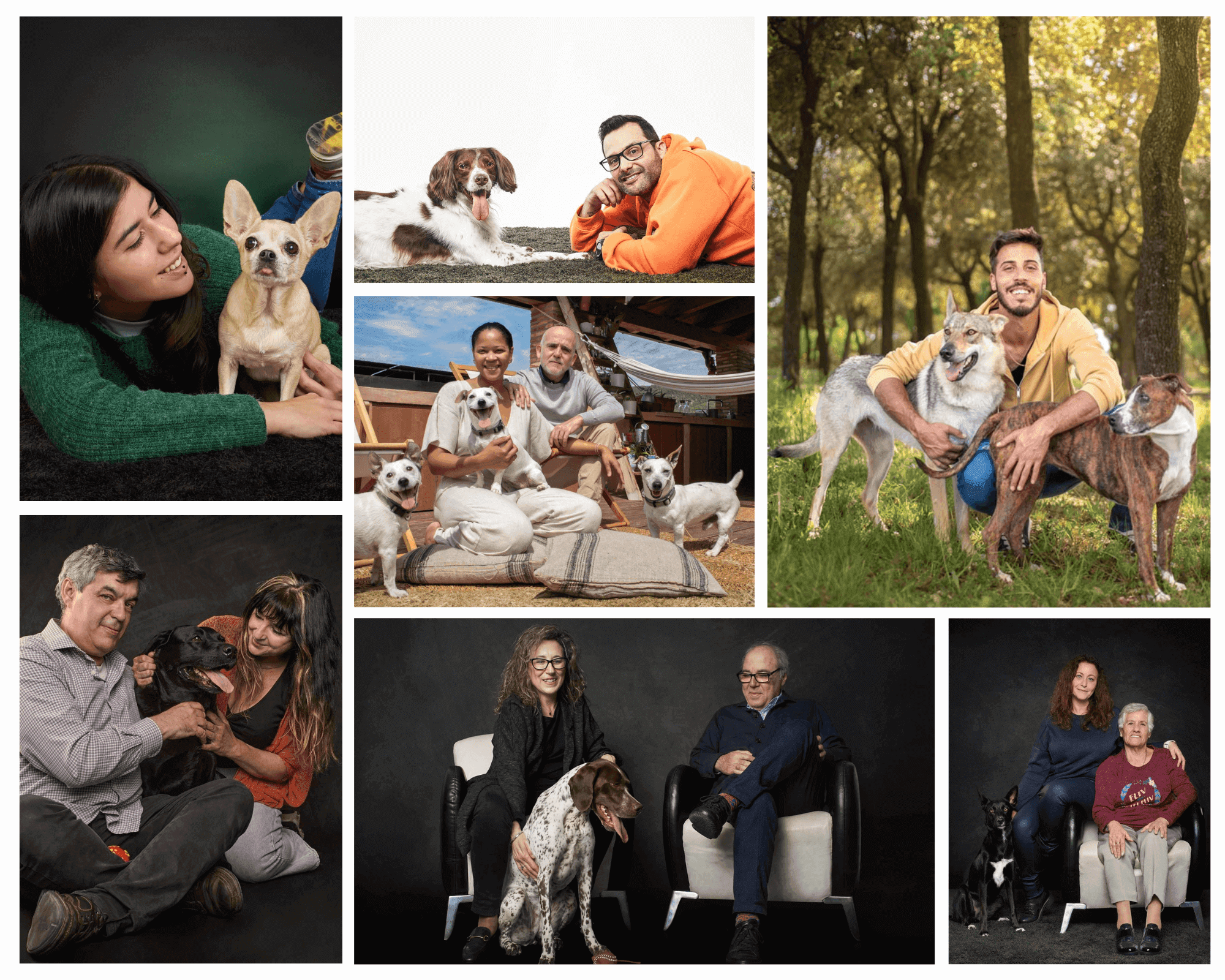 Joan Boira: Sesión de fotos de tu perro: Un recuerdo eterno de tu mejor amigo