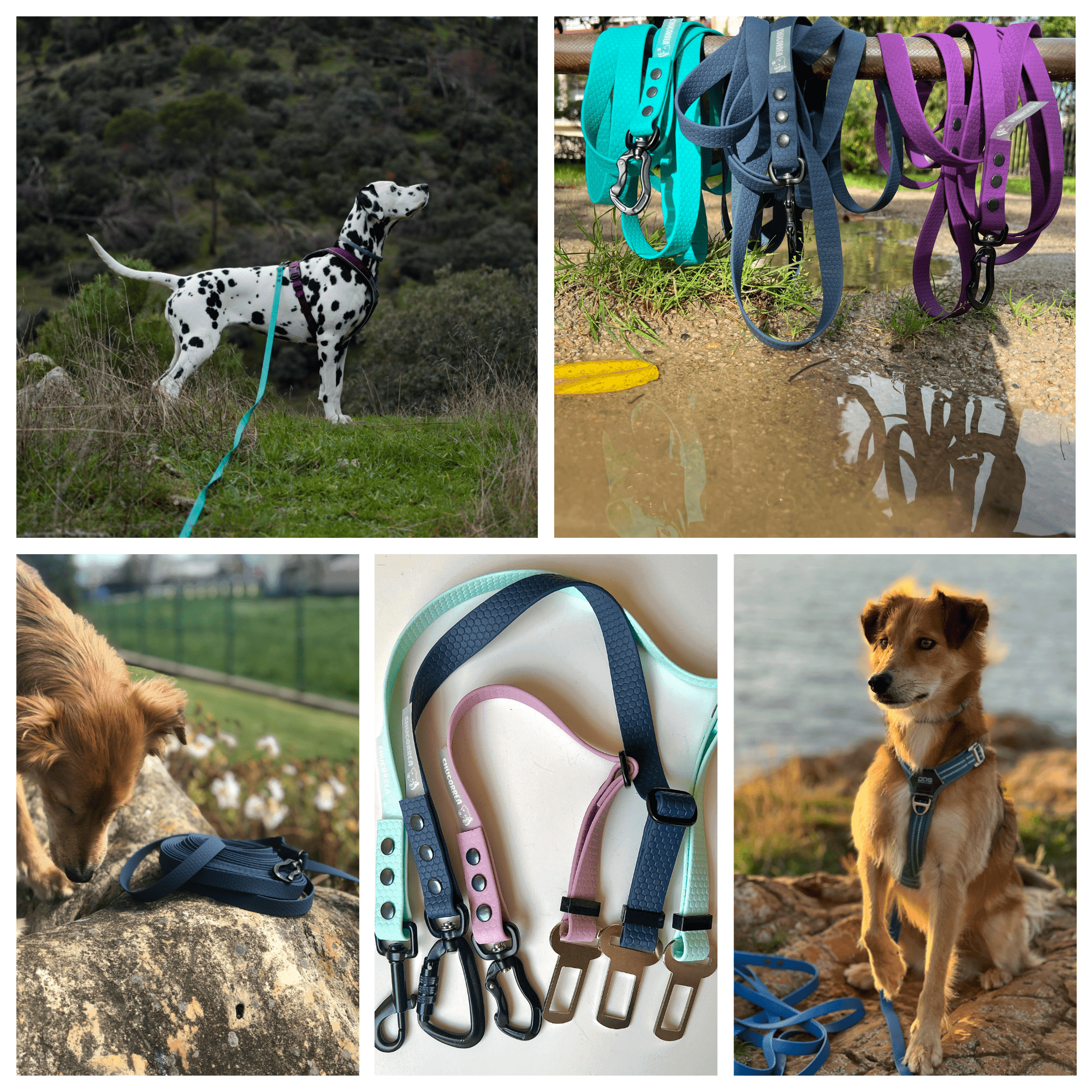 La Chucorrea: Correas para perro a medida