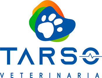 Hospital de Día Veterinario TARSO