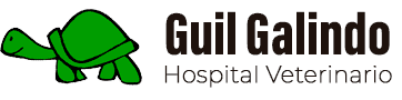 Hospital Veterinario Guil Galindo
