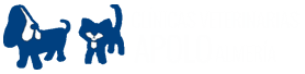Consultorio Veterinario Apolo Centro