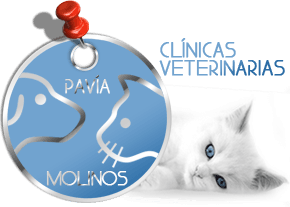 Clínica Veterinaria Pavía