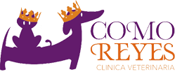 Clínica Veterinaria Como Reyes