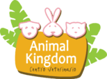Centro Veterinario Animal Kingdom