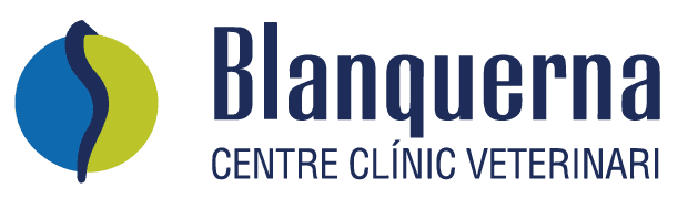 Blanquerna Centre Clínic Veterinari