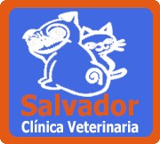 Clinica Veterinaria Salvador