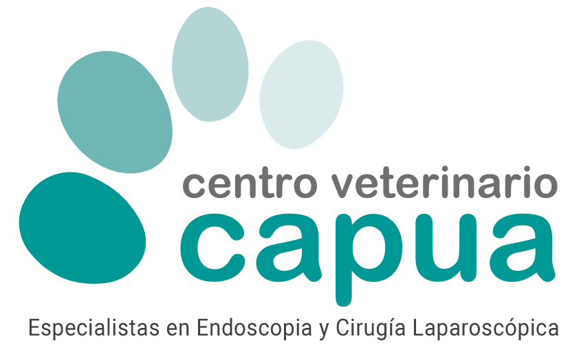 Centro Veterinario Capua