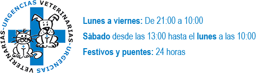 Urgencias Veterinarias Zaragoza