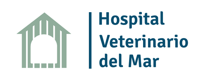 Hospital Veterinario del Mar Castellón