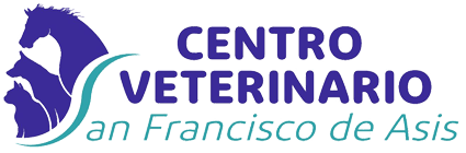 CENTRO VETERINARIO San Francisco de Asís - LEBRIJA