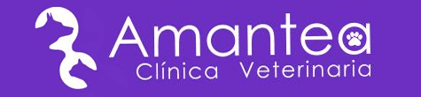 Clínica Veterinaria Amantea