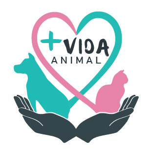 Más Vida Animal
