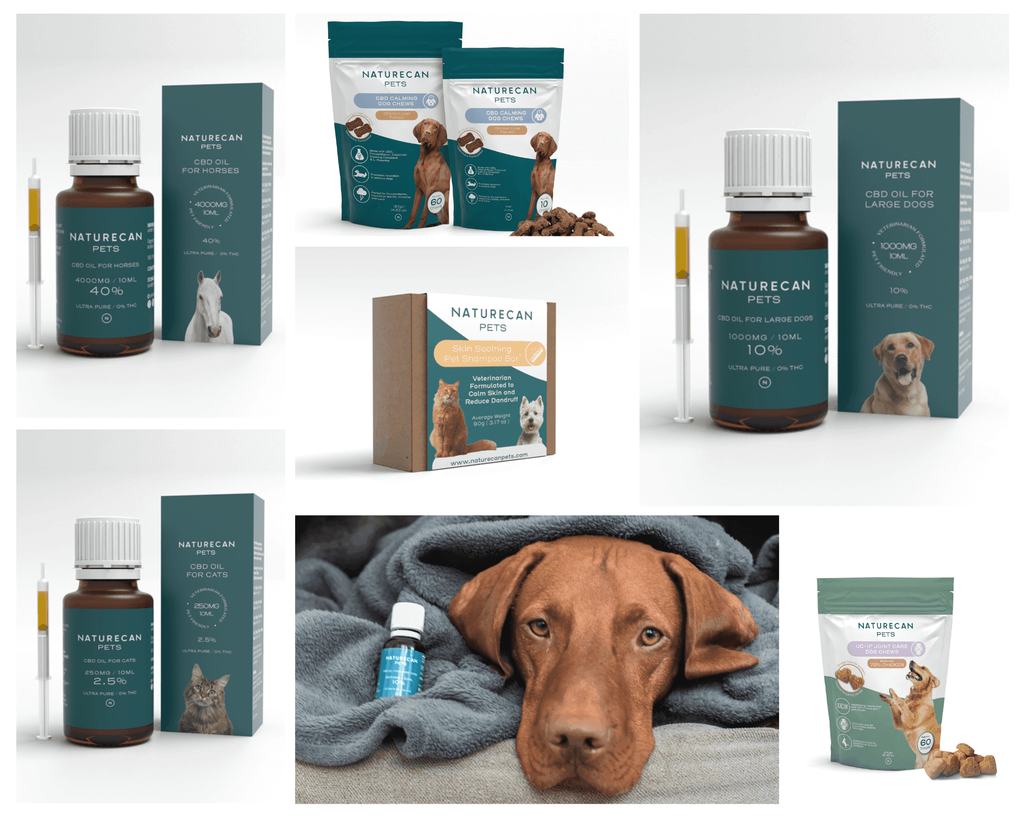 Naturecan: bienestar natural para mascotas basado en CBD