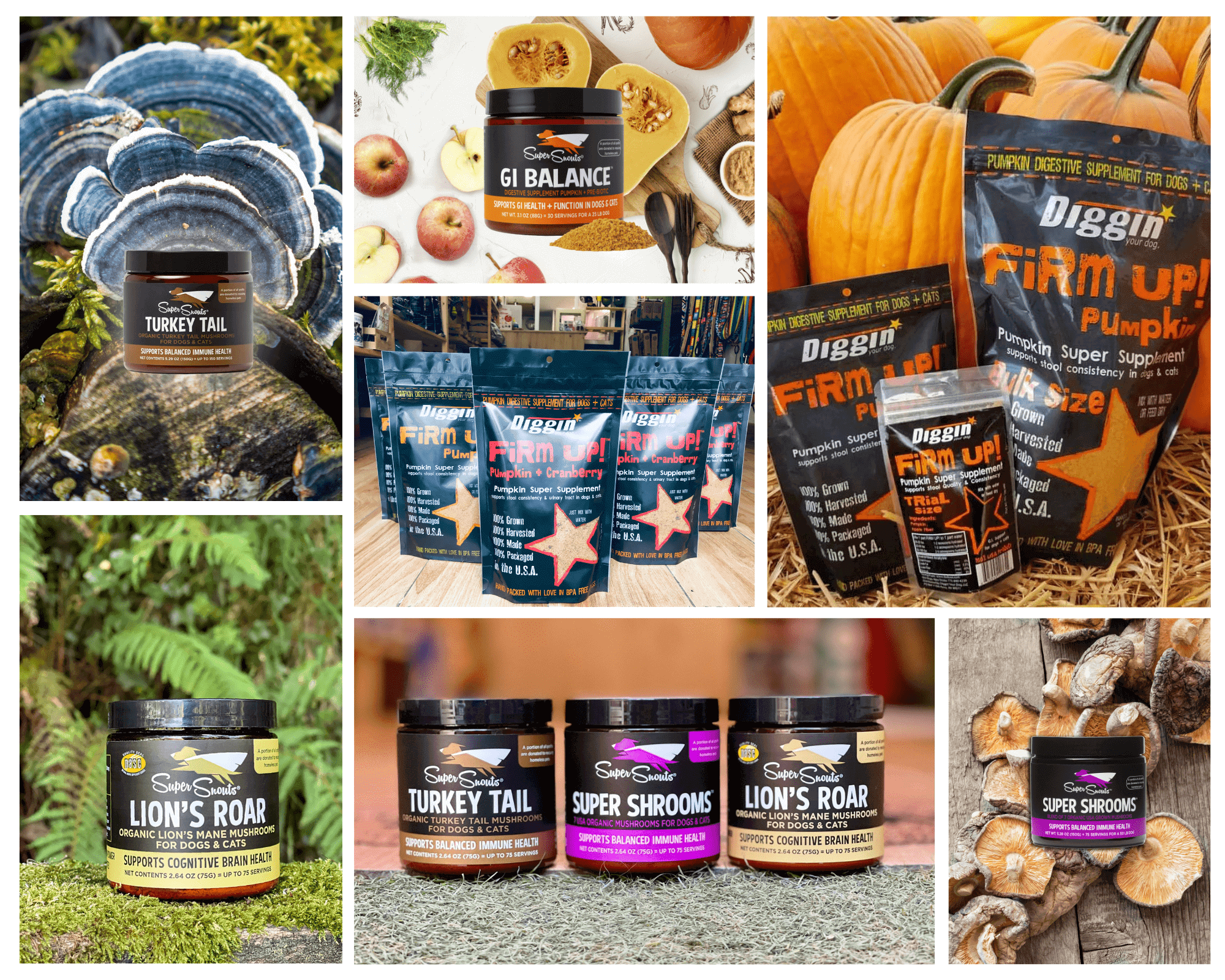 Nevanto Pet Care: Suplementos Nutricionales