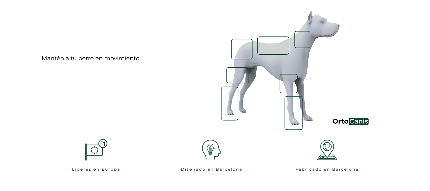 Ortocanis: Innovación en ortopedia para mejorar la vida de tu mascota banner
