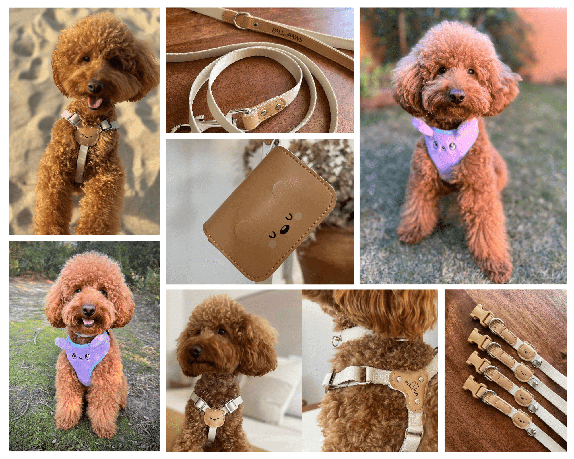 Pau and Paws: Accesorios para perros con encanto