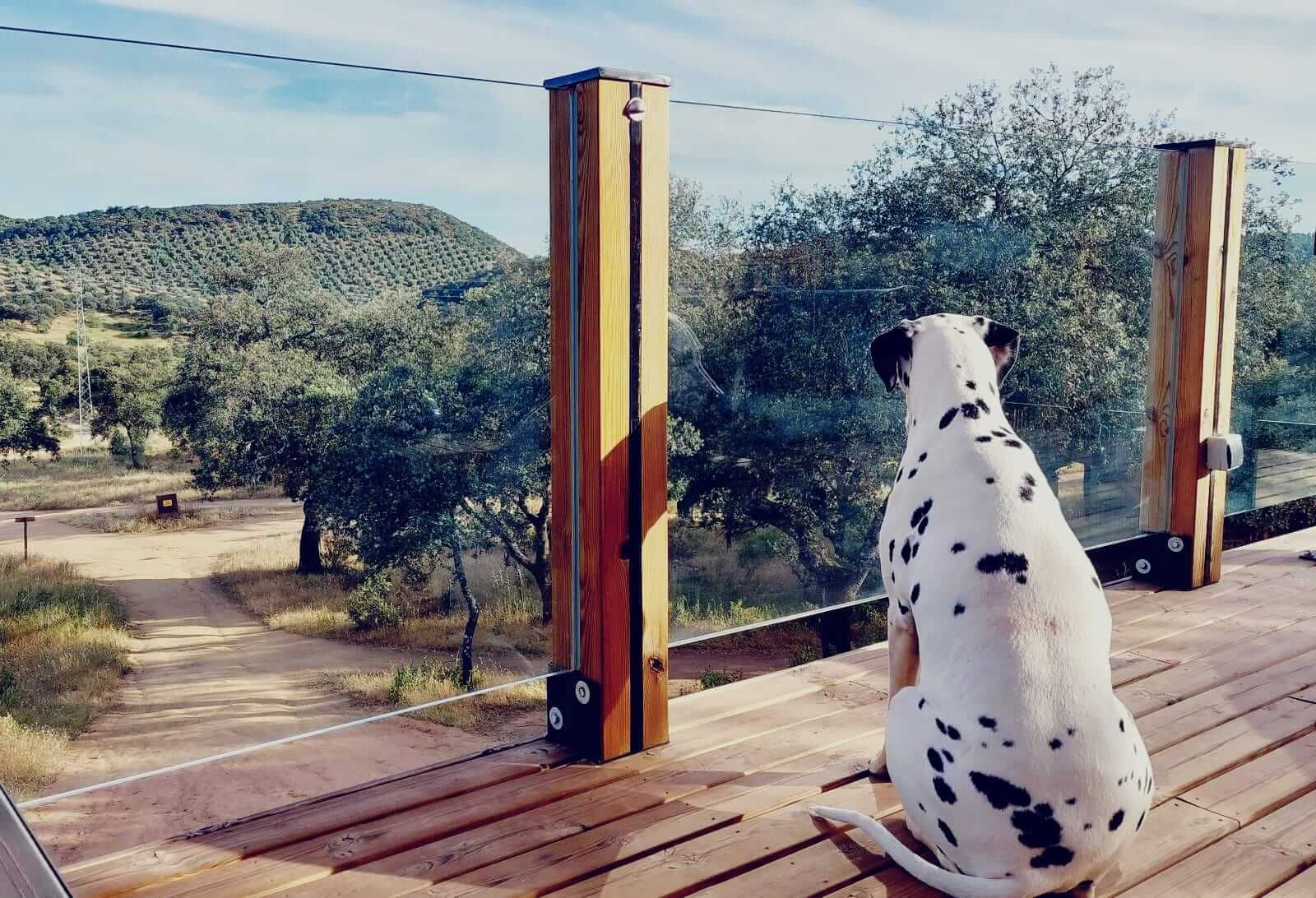 La Dehesa Experiences: glamping con perro en Córdoba banner