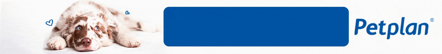 Seguro veterinario Petplan: para evitar gastos imprevistos banner