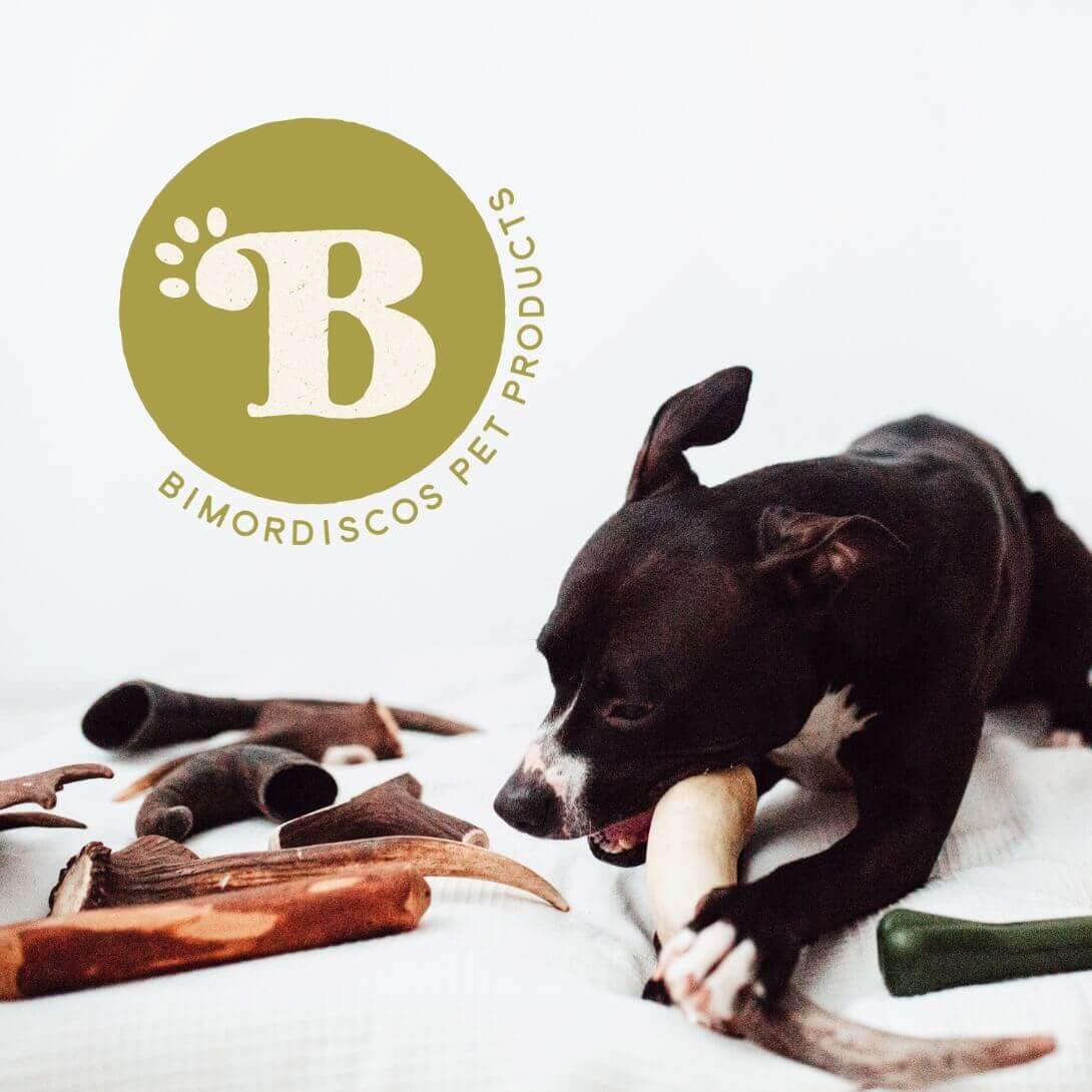BIMORDISCOS: Porque es parte de la familia, le cuidamos como se merece