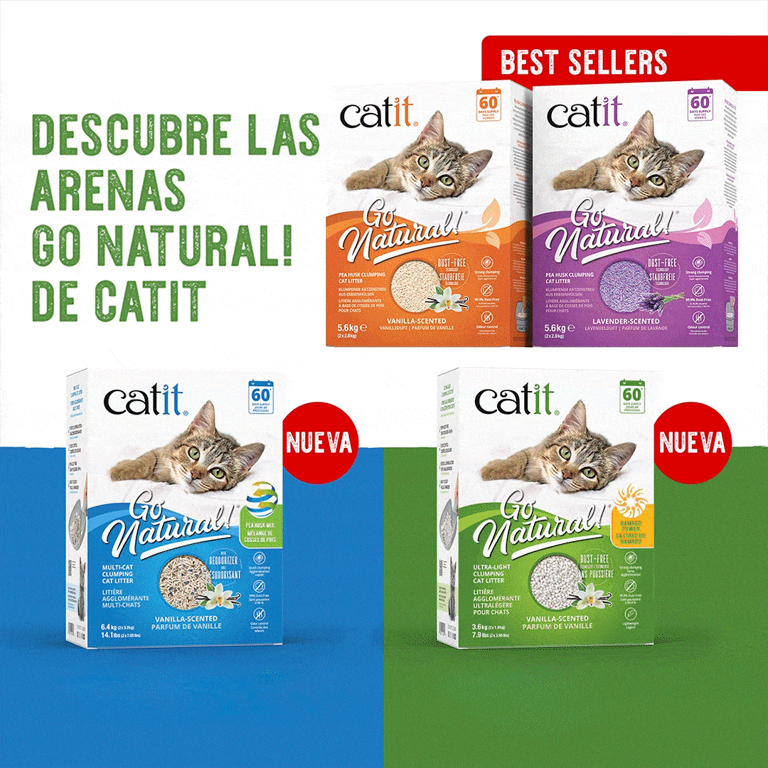 Catit: Productos diseñados específicamente para gatos