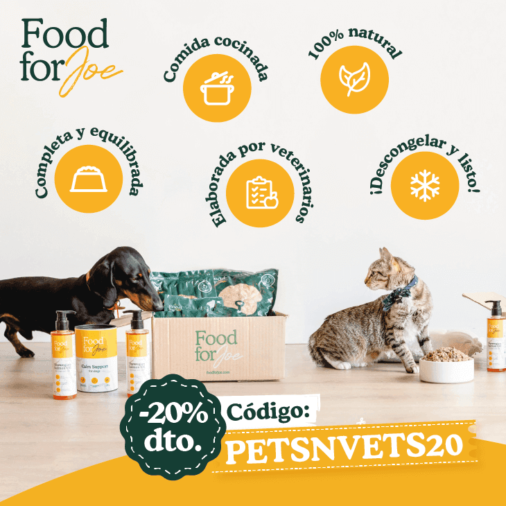 Food for Joe ¡Las recetas que se adaptan a las necesidades de vuestras mascotas!