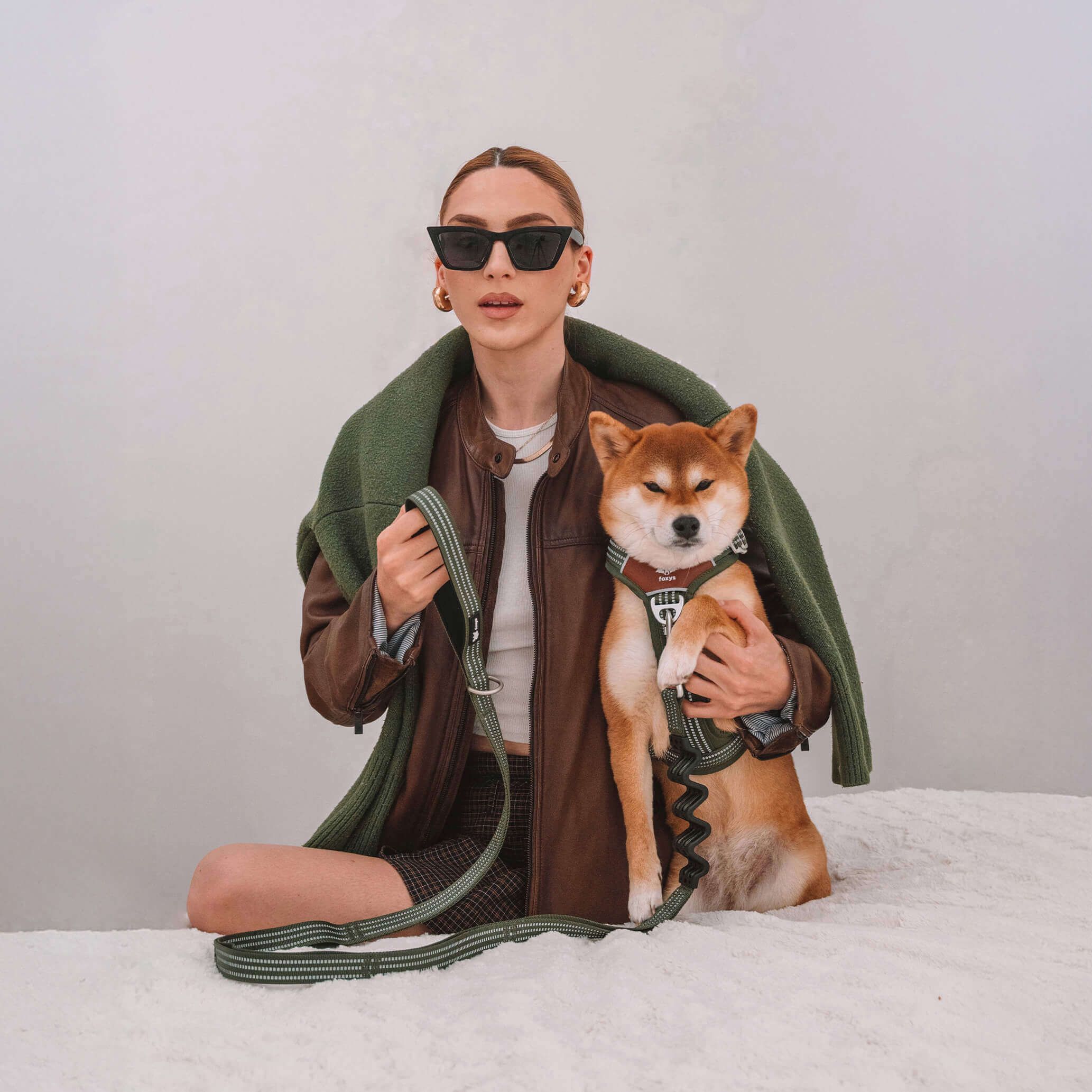 Foxys: Accesorios elegantes y funcionales para perros