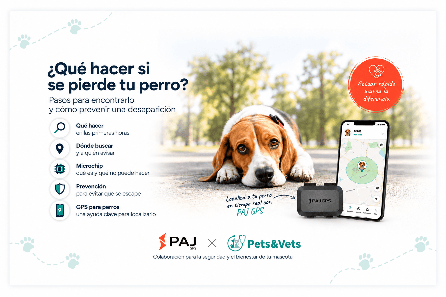 Perro junto a un localizador PAJ GPS y un móvil con seguimiento en tiempo real, colaboración entre PAJ GPS y Pets & Vets para prevenir la pérdida de perros