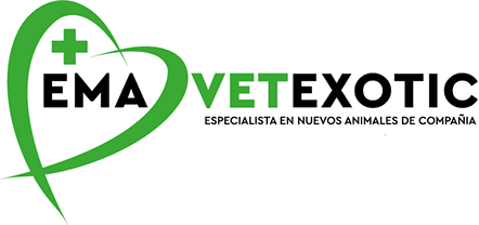 EmaVetExotic