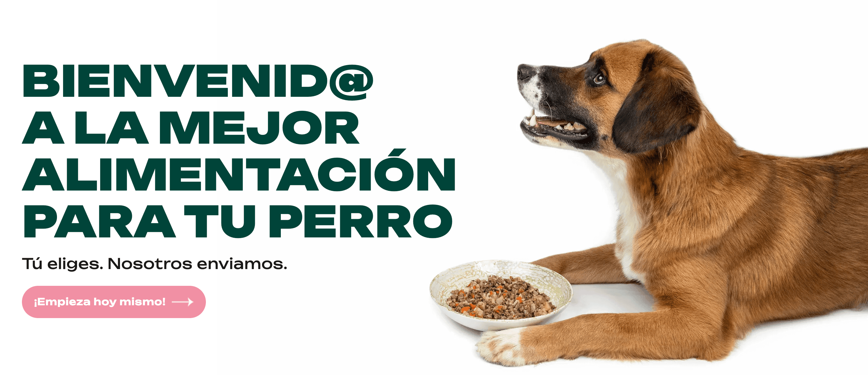 Rovinfood ¡La marca de comida natural con mejor aceptación por el sector veterinario! banner