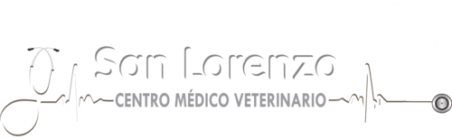 Clínica Veterinaria San Lorenzo