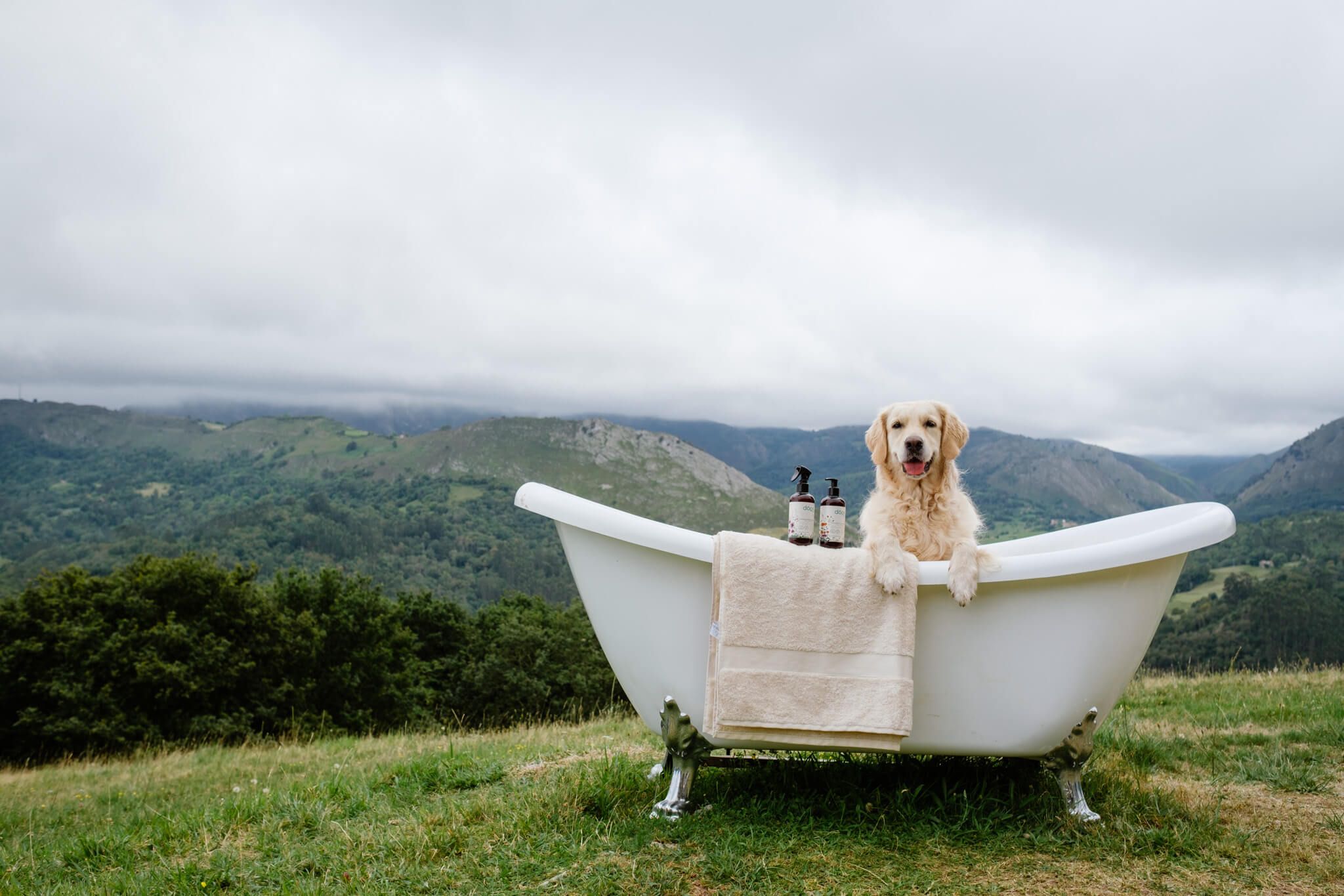 The Doog Life: Cosmética natural y ecológica hecha en España