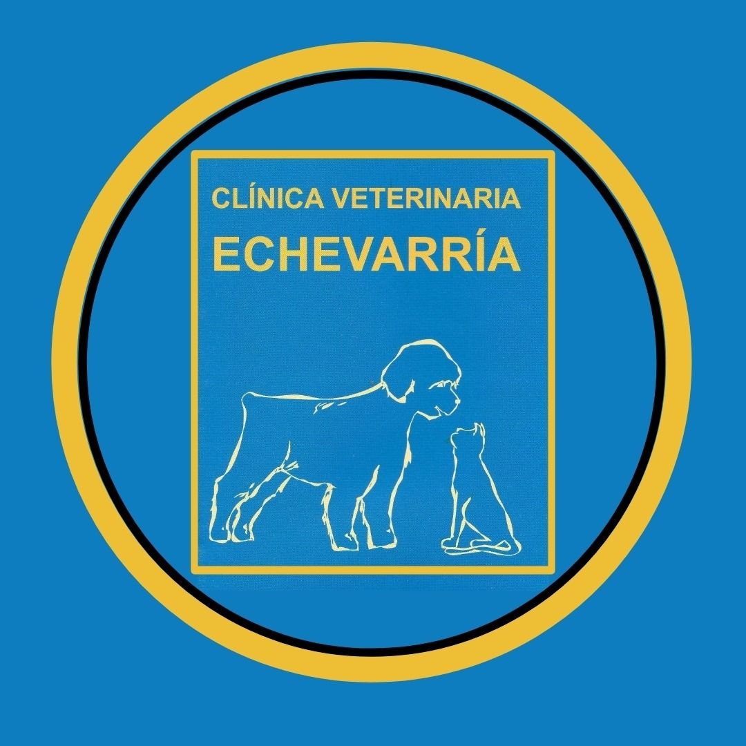 Clínica Veterinaria Echevarría